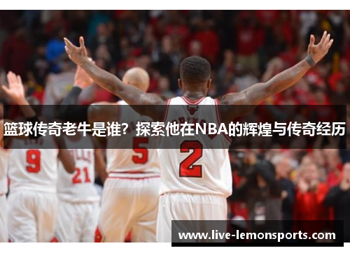篮球传奇老牛是谁?探索他在NBA的辉煌与传奇经历