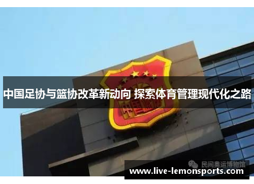 中国足协与篮协改革新动向 探索体育管理现代化之路