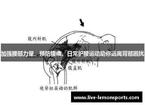 加强腰部力量,预防腰痛,日常护腰运动助你远离背部困扰