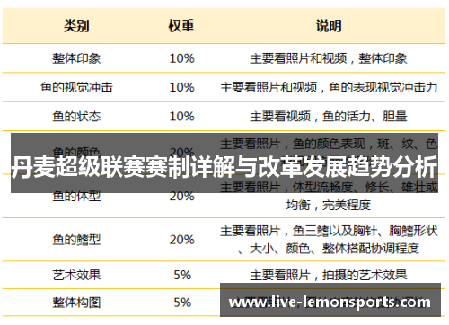 丹麦超级联赛赛制详解与改革发展趋势分析