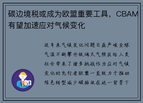 碳边境税或成为欧盟重要工具，CBAM有望加速应对气候变化